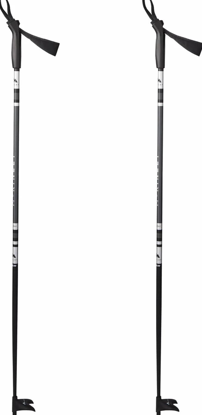 Mckinley Active Alu Kijek narciarski Czarny/Srebrny/Antracy 105