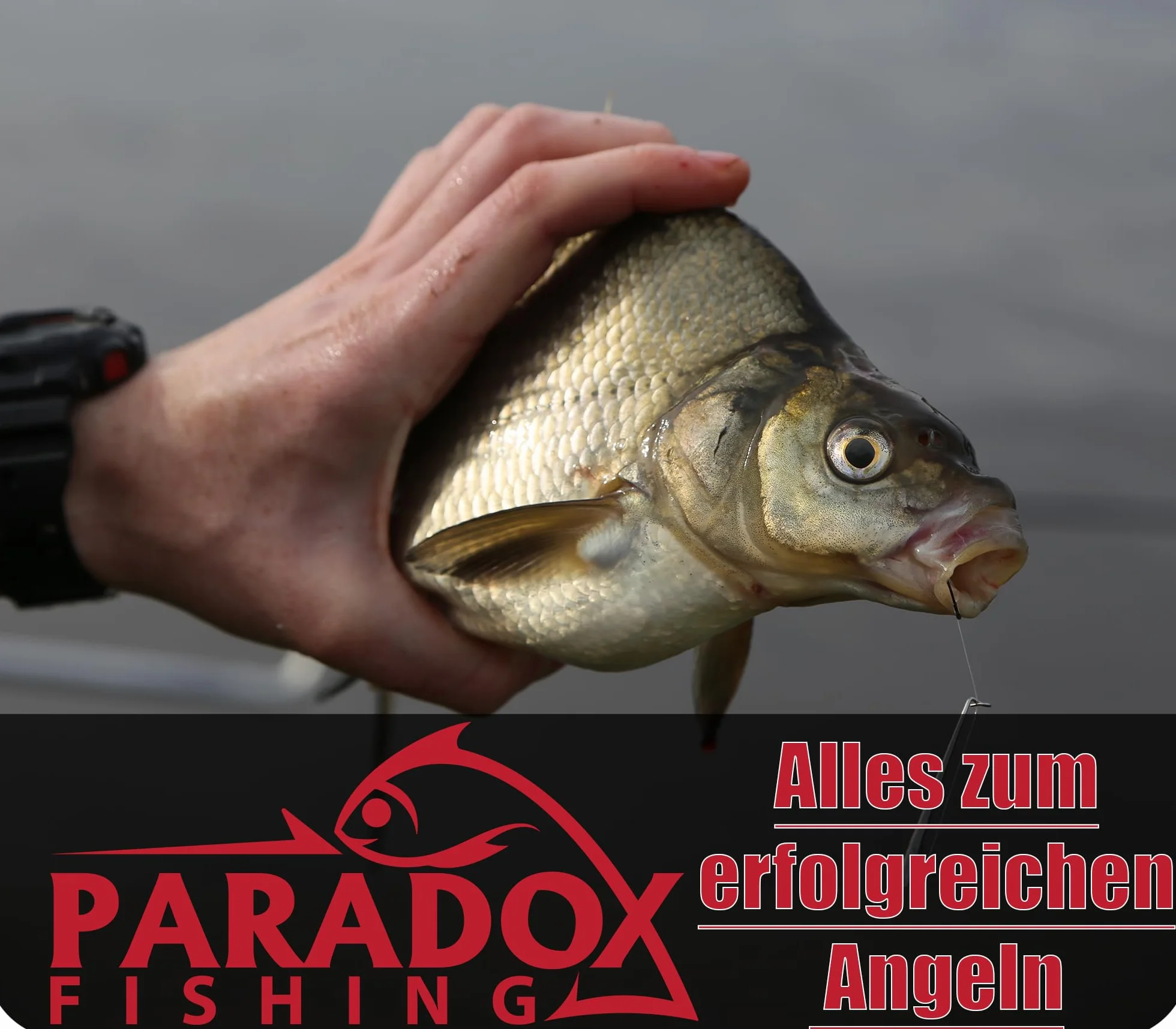 Paradox Fishing Nożyce wędkarskie Premium ze stali węglowej – bardzo ostre nożyce do żyłek z mikroząbkami do plecionych sznurków, stali i mono – kompaktowa konstrukcja (10 cm) w kolorze sygnałowym