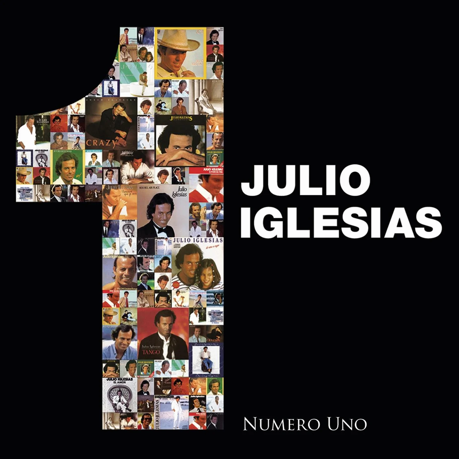 Julio Iglesias Numero Uno